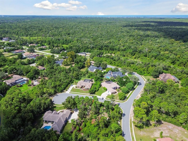6101 Waters Way, Weeki Wachee, FL 34607 - photo 20