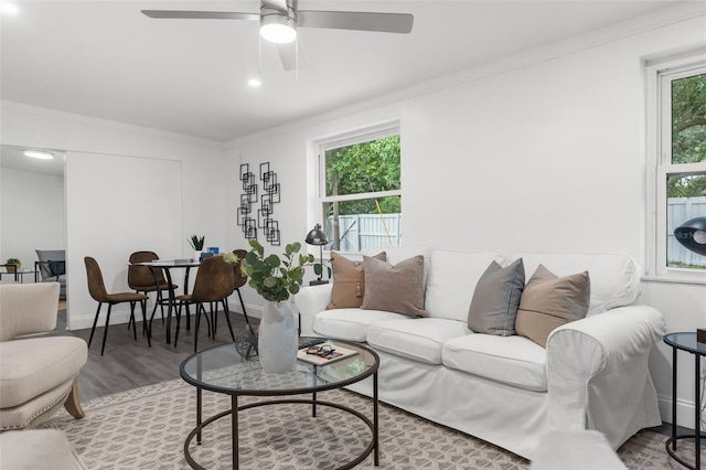 living room with ceiling fan, light wood-type flooring, plenty of natural light, and ornamental molding