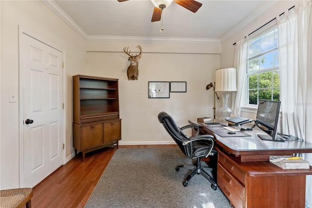 office featuring ceiling fan, dark wood-type flooring, and ornamental molding