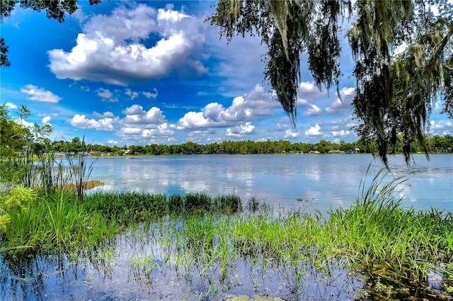 property view of water