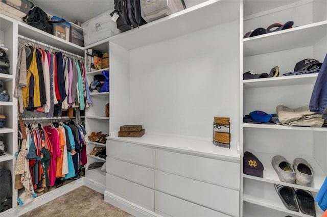 spacious closet featuring light colored carpet