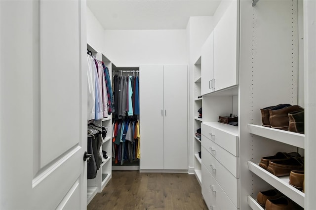 walk in closet featuring dark hardwood / wood-style flooring