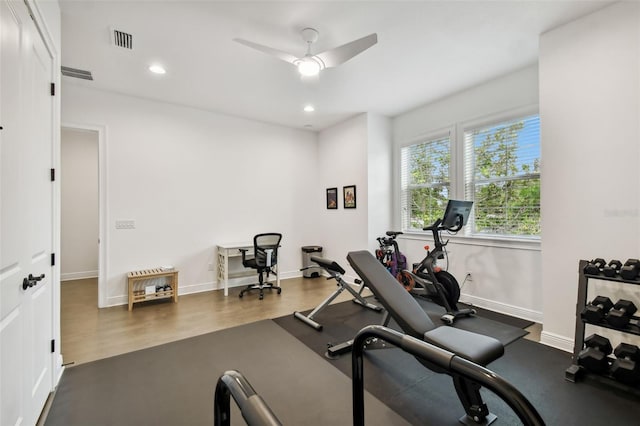 exercise room featuring dark hardwood / wood-style flooring and ceiling fan