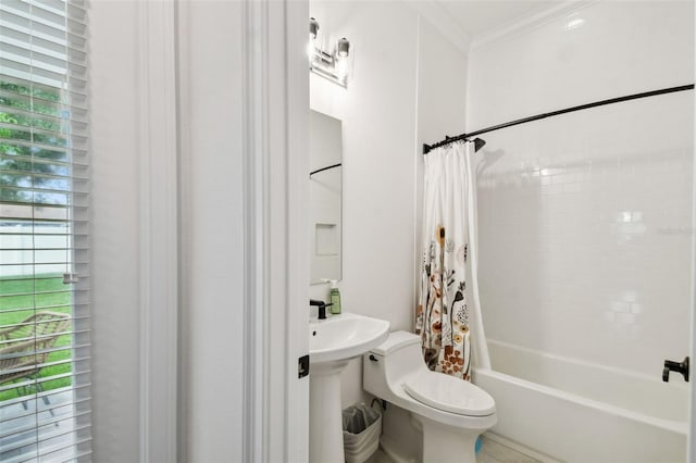 full bathroom with sink, ornamental molding, shower / bath combo with shower curtain, and toilet