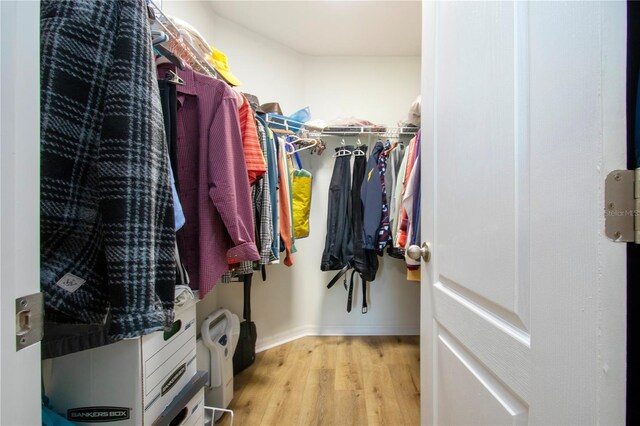 spacious closet with light wood-type flooring