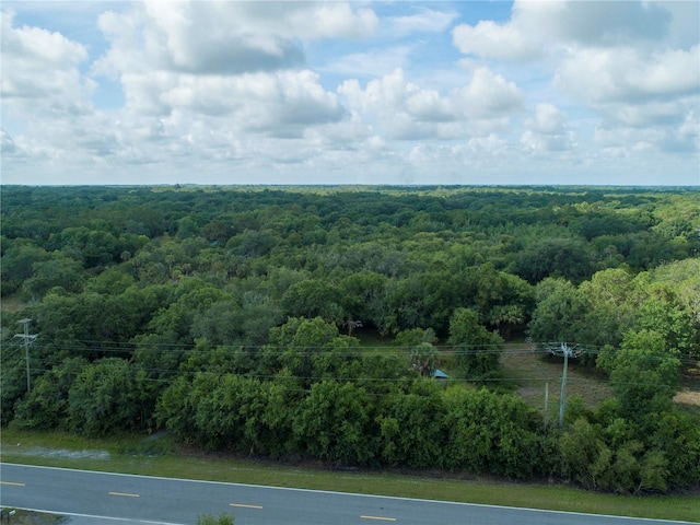 Lightfoot Rd, Wimauma FL, 33598 land for sale