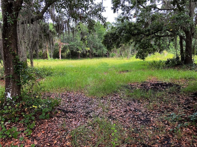 Lightfoot Rd, Wimauma FL, 33598 land for sale