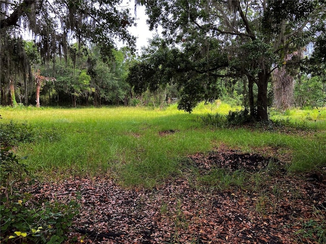 Listing photo 2 for Lightfoot Rd, Wimauma FL 33598