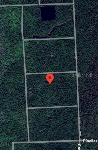 Martha, Palatka, FL 32177 - photo 1