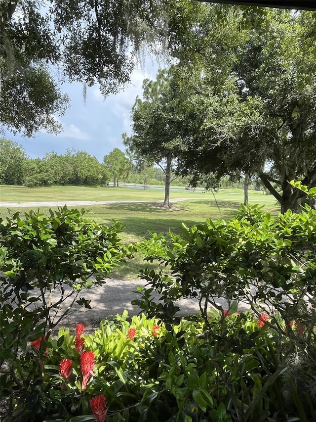 view of property's community featuring a yard