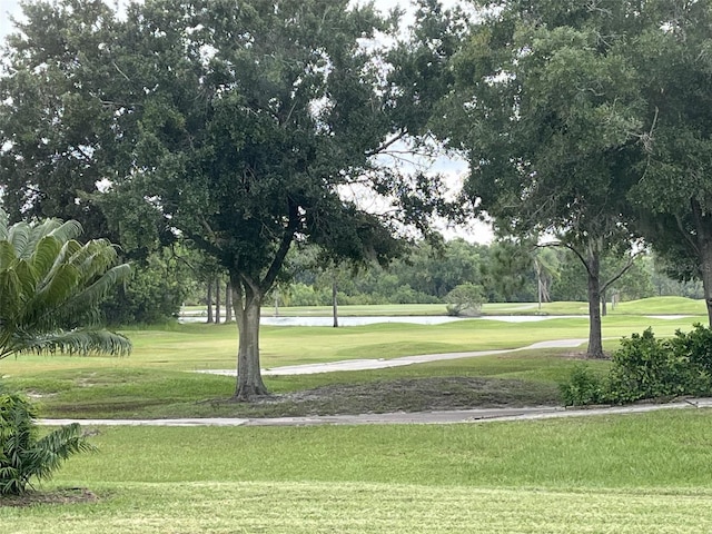 view of property's community featuring a lawn