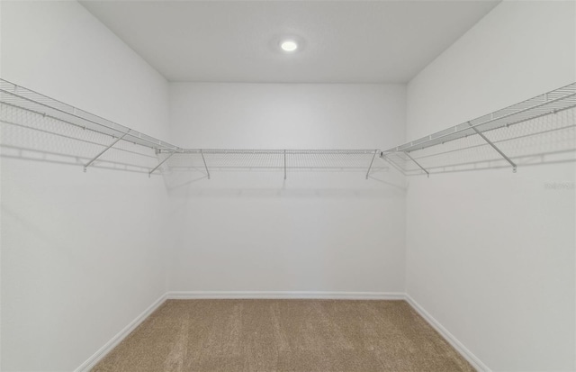 spacious closet with carpet flooring