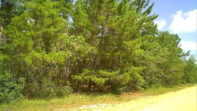 0 Childs Rd, Interlachen FL, 32148 land for sale