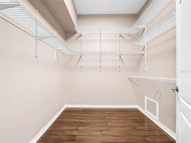 walk in closet with hardwood / wood-style flooring