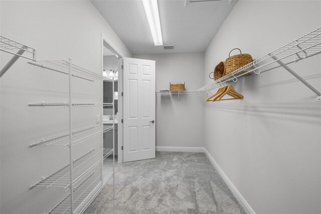 spacious closet featuring carpet floors