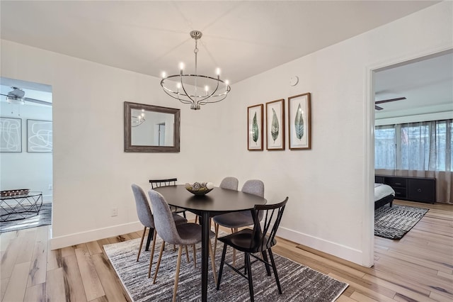 dining room featuring ceiling fan with notable chandelier and light hardwood / wood-style floors