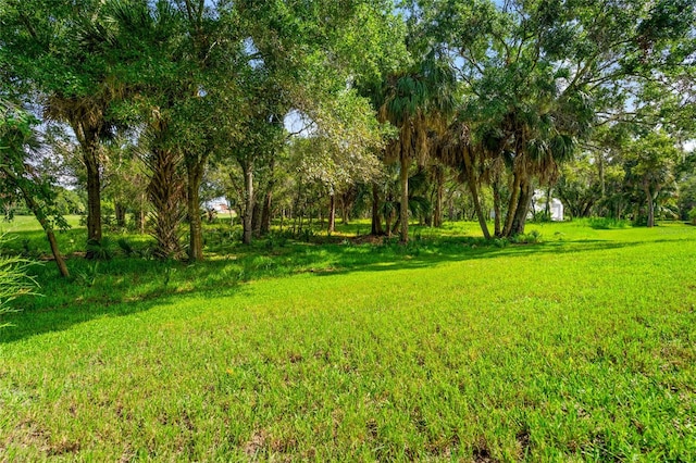 Listing photo 3 for 000 Strathmore Ave, Oldsmar FL 34677