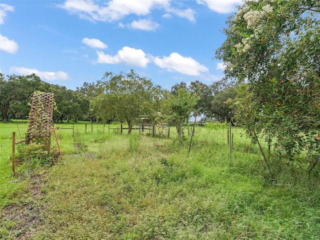 view of yard with a rural view