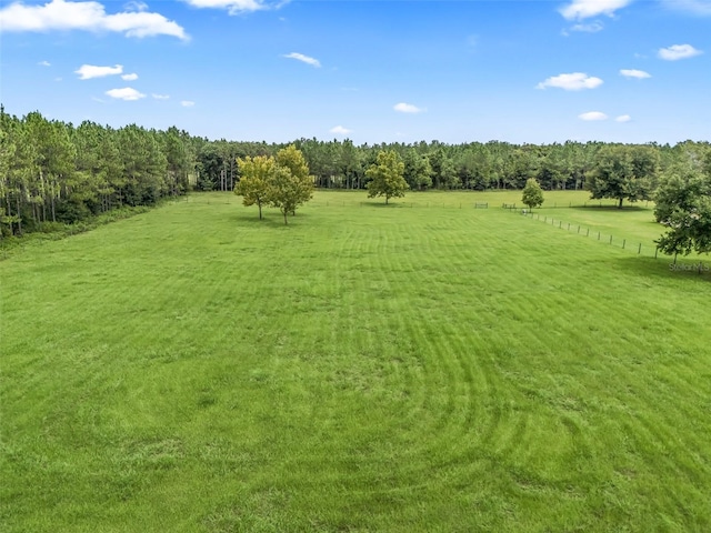 view of yard with a rural view