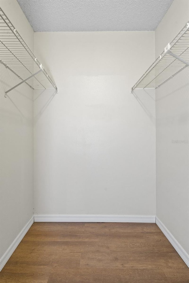 walk in closet with hardwood / wood-style floors