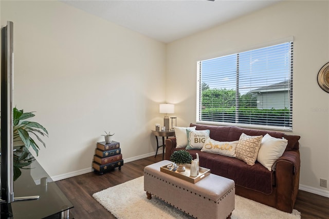 living room with dark hardwood / wood-style floors