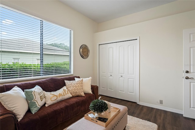 living room featuring dark hardwood / wood-style flooring