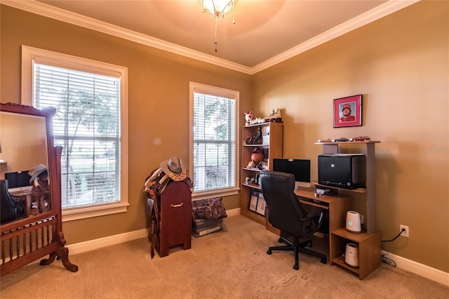 carpeted office space featuring crown molding