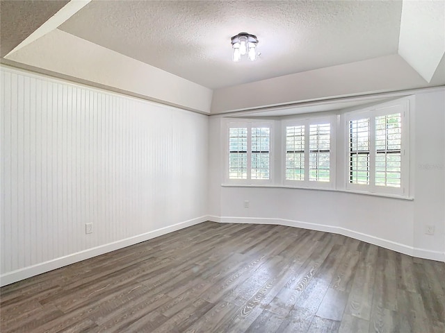 spare room featuring a raised ceiling, a healthy amount of sunlight, and wood-type flooring