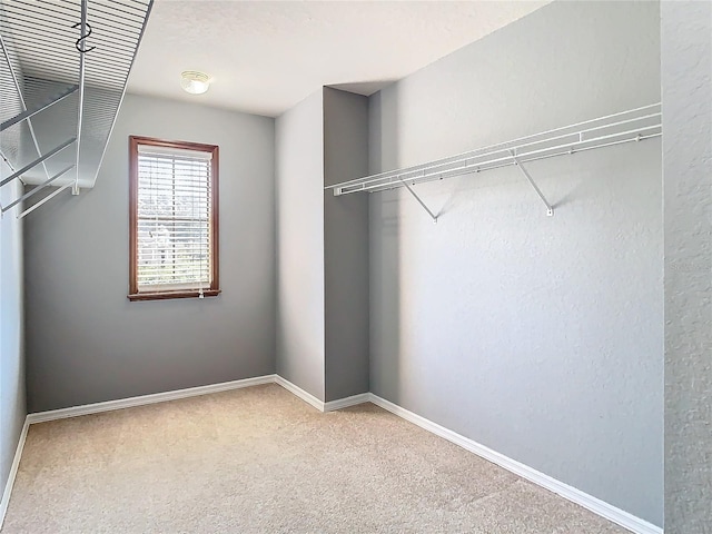 spacious closet with carpet flooring