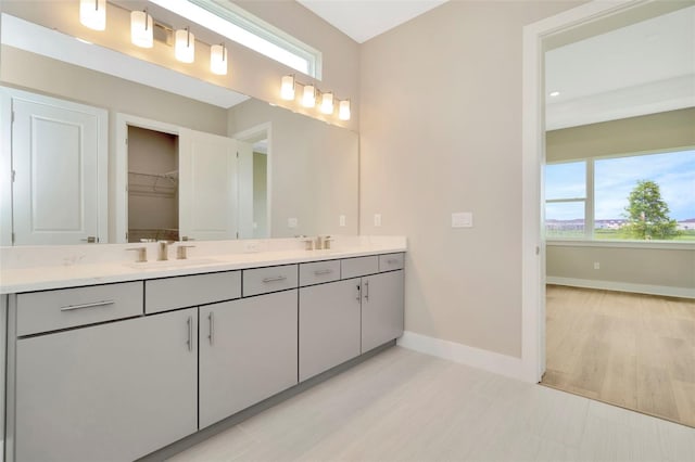 bathroom with wood-type flooring and vanity