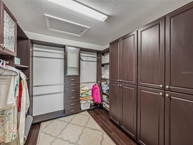 walk in closet featuring dark hardwood / wood-style flooring