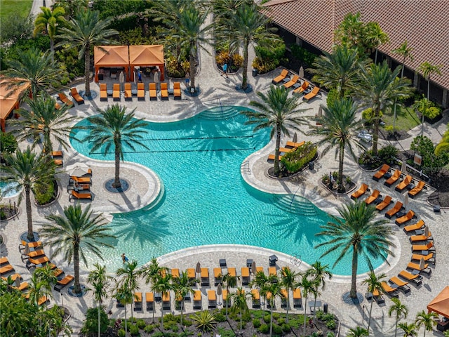 view of swimming pool with a patio