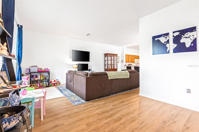 living room featuring light hardwood / wood-style flooring