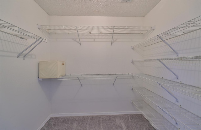 902 Mcdaniel St Unit 1, Sun City Center, FL 33573 - spacious closet with carpet