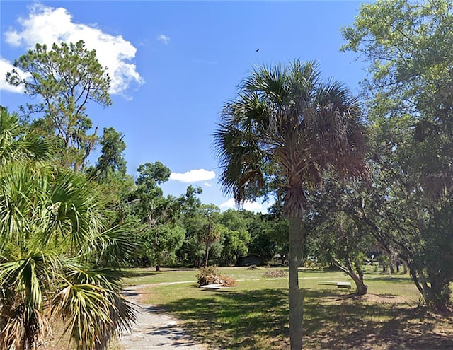 17335 Eagle Ln, Lutz FL, 33558 land for sale