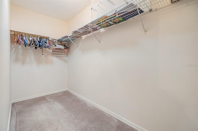 spacious closet featuring carpet flooring