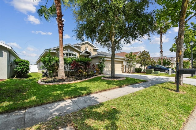 6843 Runner Oak Dr, Wesley Chapel, FL 33545 - view of property hidden behind natural elements featuring a front yard, concrete driveway, an attached garage, and stucco siding