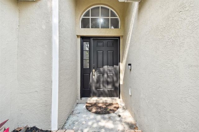 6843 Runner Oak Dr, Wesley Chapel, FL 33545 - view of exterior entry with stucco siding