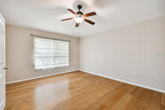 6843 Runner Oak Dr, Wesley Chapel, FL 33545 - empty room with light wood finished floors, a ceiling fan, and baseboards