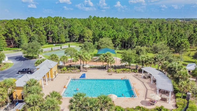 6843 Runner Oak Dr, Wesley Chapel, FL 33545 - pool with a patio area, fence, a view of trees, and a pergola