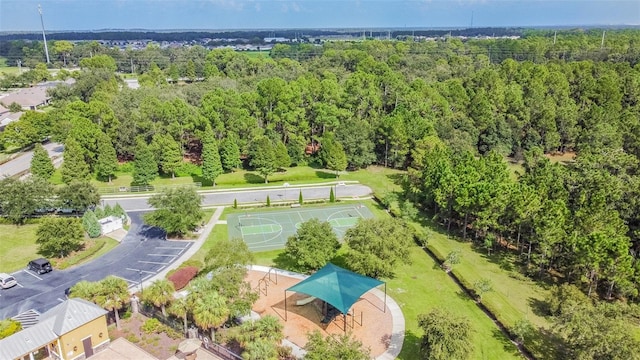 6843 Runner Oak Dr, Wesley Chapel, FL 33545 - drone / aerial view featuring a forest view
