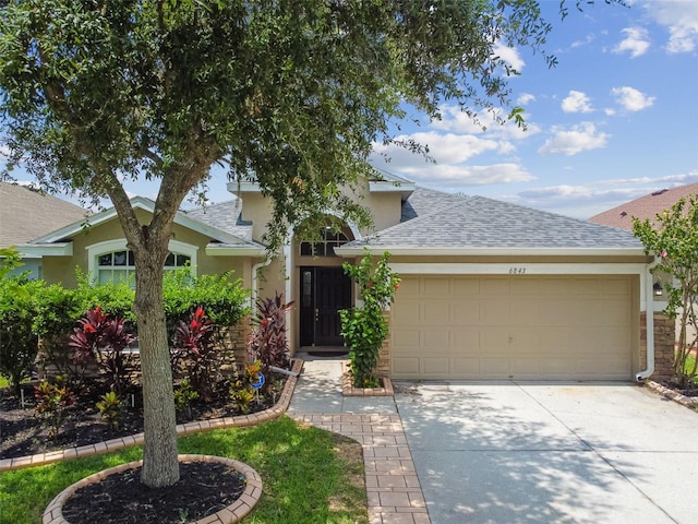 6843 Runner Oak Dr, Wesley Chapel, FL 33545 - view of front of house with a garage, concrete driveway, roof with shingles, and stucco siding
