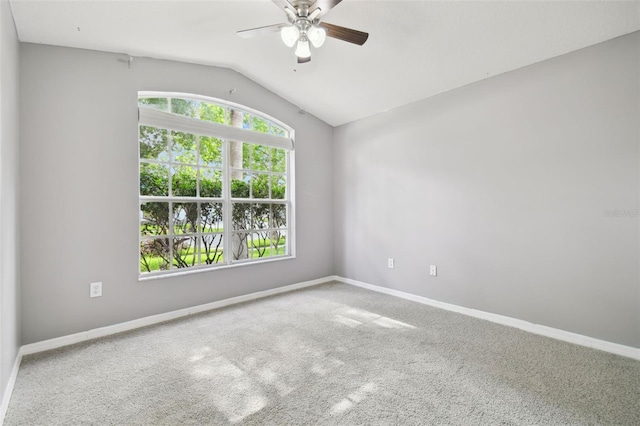 6843 Runner Oak Dr, Wesley Chapel, FL 33545 - photo 12