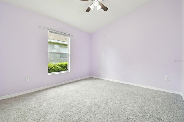 6843 Runner Oak Dr, Wesley Chapel, FL 33545 - photo 17