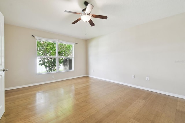 6843 Runner Oak Dr, Wesley Chapel, FL 33545 - photo 39