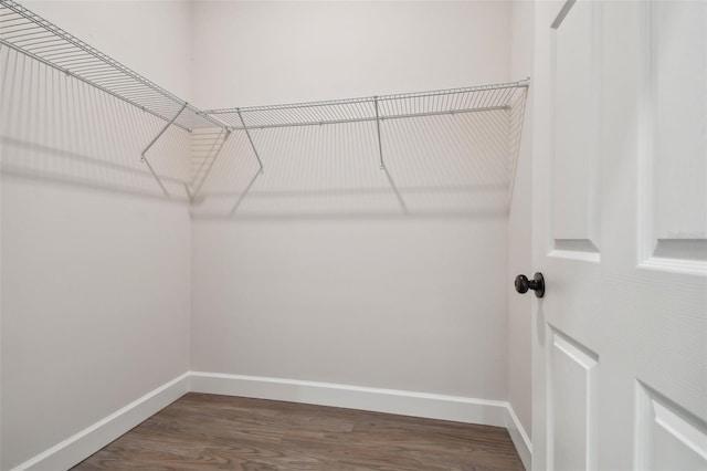 walk in closet featuring wood finished floors