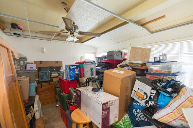 storage room featuring ceiling fan