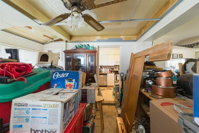 storage featuring ceiling fan