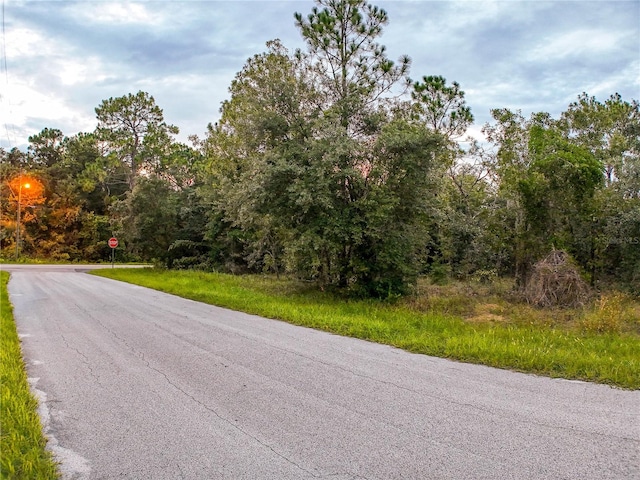 3029 E Anderson St, Inverness FL, 34453 land for sale