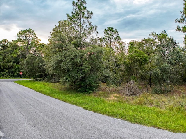 Listing photo 3 for 3029 E Anderson St, Inverness FL 34453